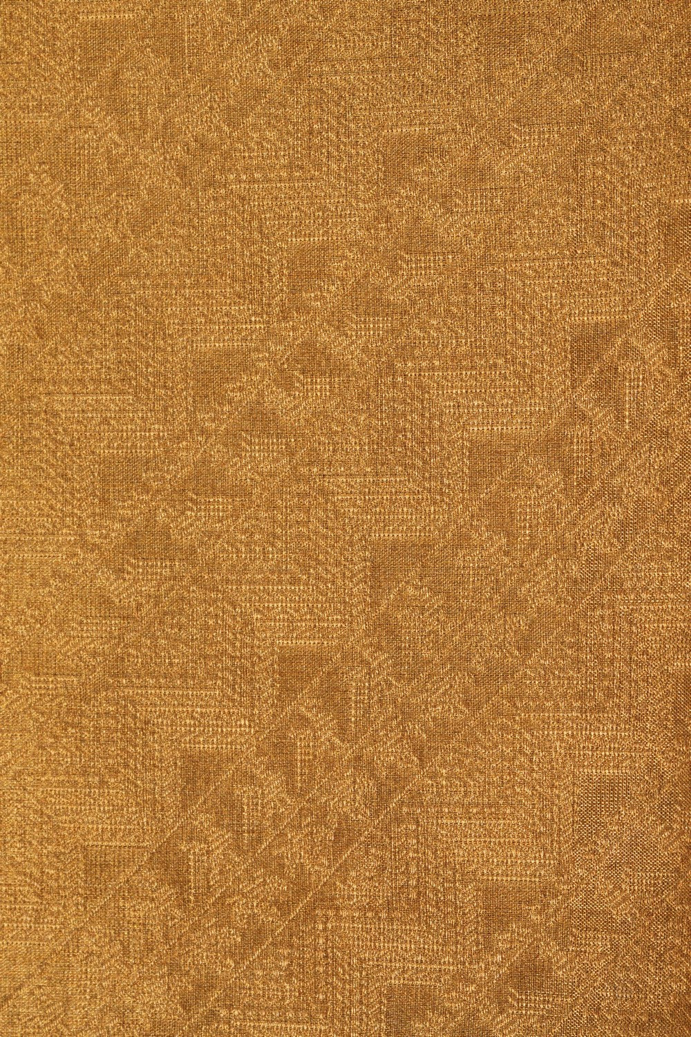 Image of Kanchipattu Tissue Brocade Saree